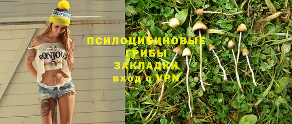 прущие грибы Навашино
