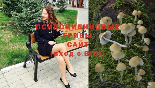 кокс Надым