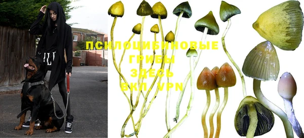 кокс Надым