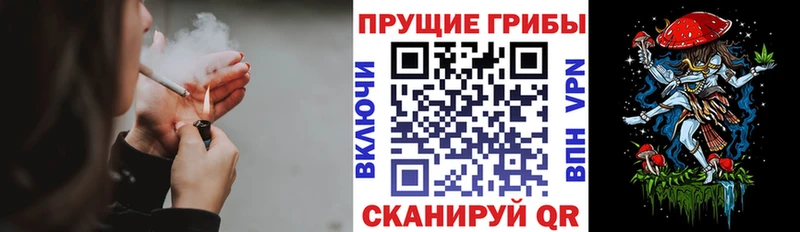 площадка наркотические препараты  Миасс  Галлюциногенные грибы Psilocybe  МЕГА ONION 