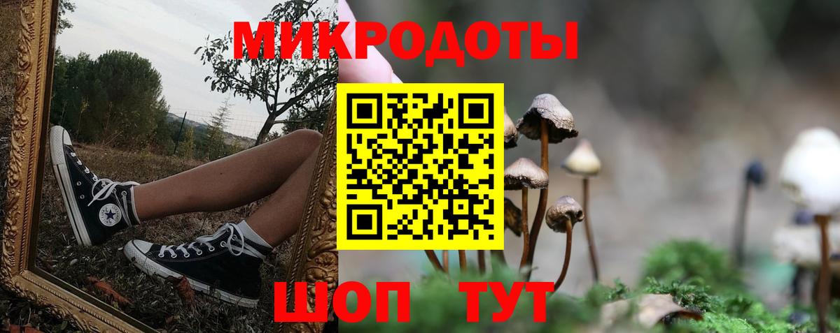 Миасс  Псилоцибиновые грибы мухоморы  дарнет шоп  Вход с VPN 